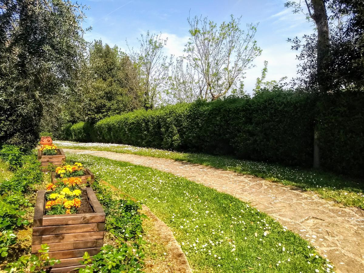 Апартаменты Borgo La Casaccia Монтайоне Экстерьер фото