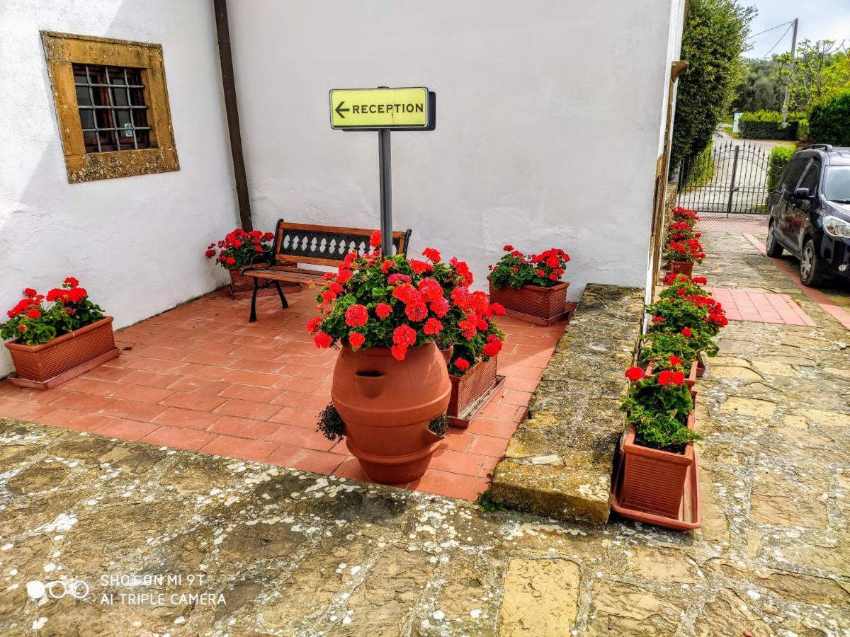 Апартаменты Borgo La Casaccia Монтайоне Экстерьер фото